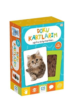 Eğitici Bilgi Kartları