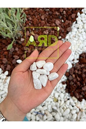 DOLOMİT TAŞI 10 Kg 4-6 Cm Beyaz Dolomit Taş Dere Çakıl Taşı Bahçe Süs Taşı ARD PEYZAJ