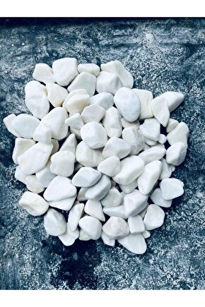 Beyaz Dolomit Taşı 2 Kg 2-4 Cm Bahçe Süs Taşı, Tamburlanmış Dekorasyon Taşı, Akvaryum Taşı
