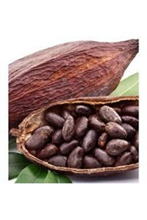 Organik Kakao Çekirdeği 50 gr