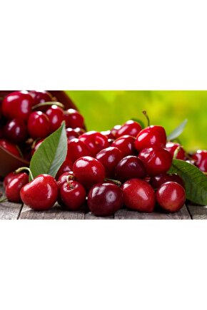 10 Adet Tohum Nadir Vişne Ağaç Tohumu
