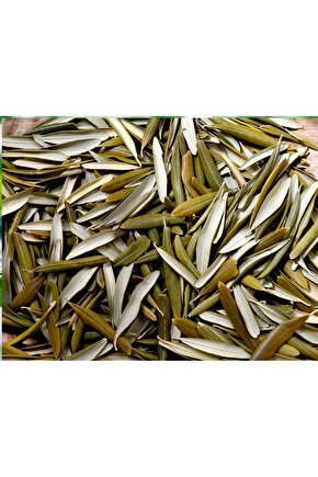 Kurutulmuş Egeden Zeytin Yaprağı Çayı 100 gr ( Doğal Kurutulmuş)