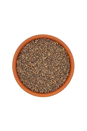 100 gr - Pelemir tohumu - yeni hassat
