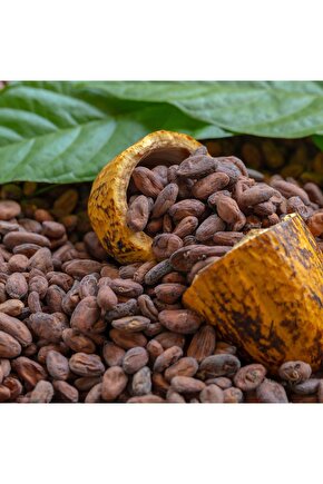 Katkısız Kavrulmamış Çiğ Kakao Çekirdeği 100 gr