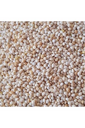 100 gr - Kuş Yemi Ak Darı Beyaz Darı - (AKDARI)