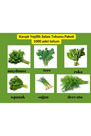 Yeşillik Sebze Tohum Paketi - 6 Çeşit Tohum Maydanoz, Tere, Roka, Dereotu ,soğan,ıspanak 1000 Adet