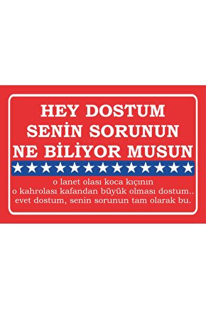dostum senin sorunun ne biliyor musun amerikan filmleri meşhur replikler duvar yazıları ahşap poster