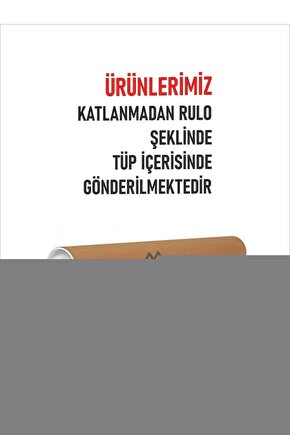 Kadın Bato Yüksek Bel Külot 6’lı 652