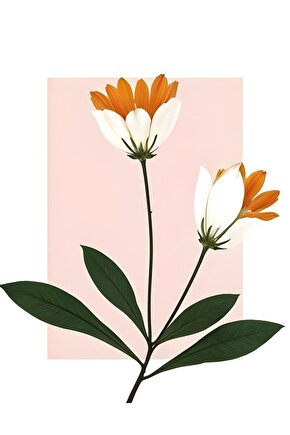 Matisse - Boho - Art Deco - Soyut - Doğa ( 3 lü Çerçevesiz ) Poster - Afiş - Tablo KR2C01116