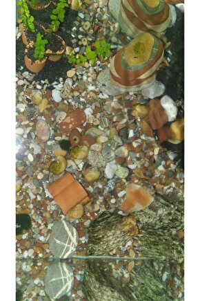 Beyaz Taş 2 Kg 1-2 Cm Beyaz Dolomit Taş Dere Taşı Çakıl Taşı Bahçe Süs Taşı Akvaryum Teraryum Taşı