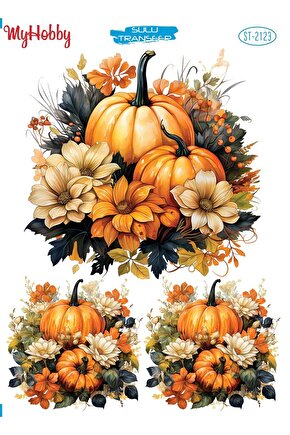 ST 2123 Çoklu Balkabağı, Pumpkin, Sulu Transfer 25x35