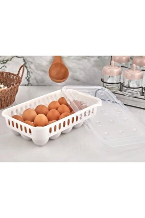Yumurta saklama kabı 15li 1 adet , Steril yumurtalık, Kapaklı yumurta organizeri
