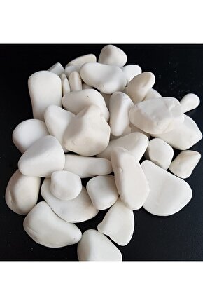 Beyaz Taş 10 Kg 2-4 Cm Beyaz Dolomit Taş Dere Taşı Çakıl Taşı Bahçe Süs Taşı Akvaryum Teraryum Taşı