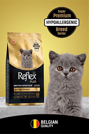 Plus British Shorthair Yavru Kedi Maması 1,5 Kg