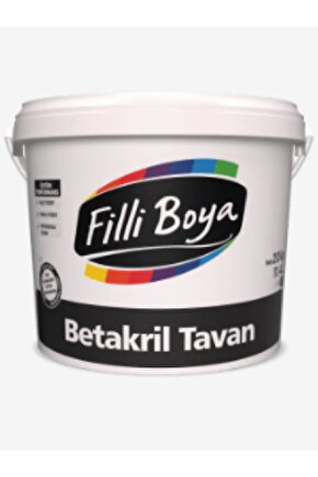 Küf Örtücü Betakril Tavan Boyası 3.5kg