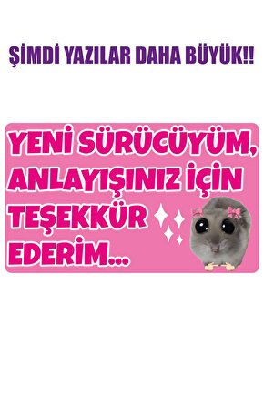 Acemi Sürücü Yeni Sürücü Sticker 22x13 Cm Su Geçirmez Sticker Araba Motor Duvar Cam Etiket Sticker