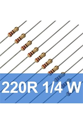 10 Adet 220 Ohm Direnç (14 Watt)
