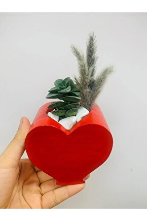 Kalp Saksı