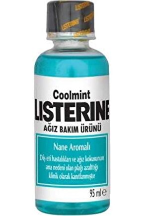 Cool Mint 95 ml