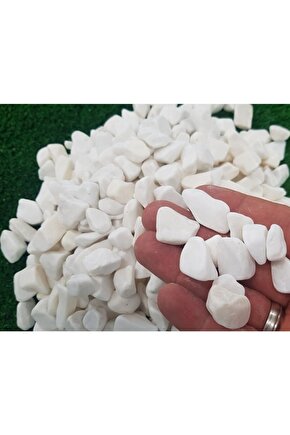 Dolomit Taş 25 Kg 1-2 Cm Beyaz Dolomit Taş Saksı Dibi Dekoratif Taş Teraryum Taşı Bahçe Taşı