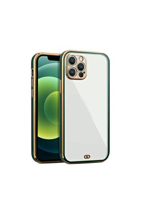 iPhone 12 Pro Max Arka kapak Kılıf Yeşil kenarlı rose