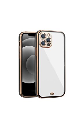 iPhone 13 Pro Max Arka kapak Kılıf Siyah kenarlı rose