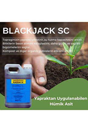 Altıntar Blackjak Sc (Sıvı Humik Asit) 5 lt