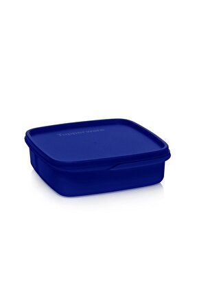 Bölmeli Yemek Taşıma Kabı 550 ml Gece Mavisi