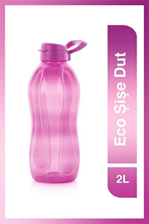 Eco Şişe KK 2L Dut