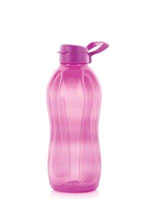 Eko Şişe 2 Litre Detoks Şişesi (YENİ RENK)