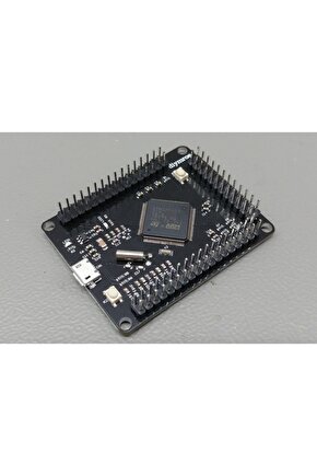 Stm32f407vgt6 Arm Geliştirme Kartı Stm32f4