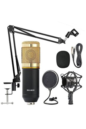 Bm800 Profesyonel Stüdyo Youtuber Kayıt Mikrofonu Stand