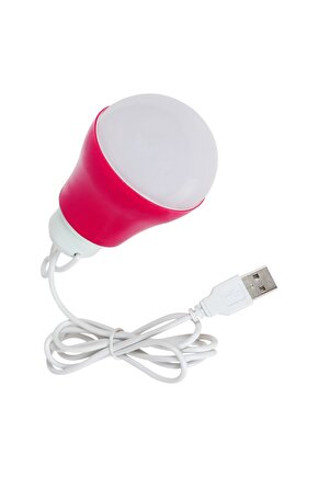 PM-12765 5 VOLT - 5 WATT 1 METRE USB KABLOLU BEYAZ LED AMPUL