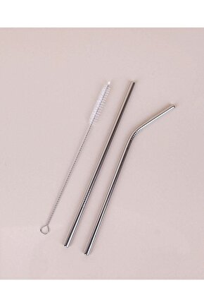 İkili Paslanmaz Çelik Metal Pipet Ve Temizleme Fırçası Seti
