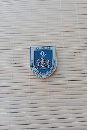 Hava Kuvvetleri Hava Egitim Komutanligi 1 Nolu Harici Metal Gogus Brovesi Bayan Rozeti