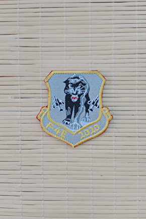 F 4e 2020 Yazili Ucak Ve Kaplan Logolu Nakis İslemeli Arma Patch Pec