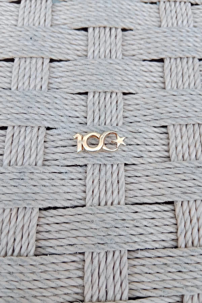 Sari Renkli 100. Yil Rozeti Ceket Yaka İgnesi Yaka Rozeti