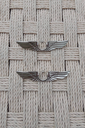 2 Adet Hava Kuvvetleri Hava Pilot Metal Gogus Brovesi