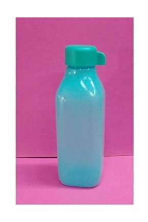 Eko Şişe 500 ml