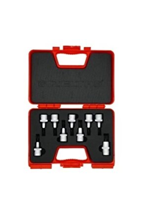 1113 00 6009 12 Lokmalı Torx Uç Takımı 9 Parça