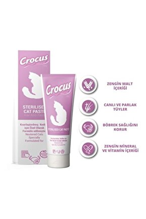 Kedi Sterilised Malt Macunu 100 Gram