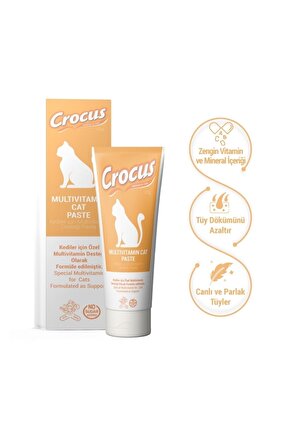 Multivitamin Kedi Malt Macunu 100 gr