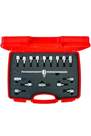 1113006017 12 Lokmalı Allen Ve Torx Uç Takımı 17 Parça