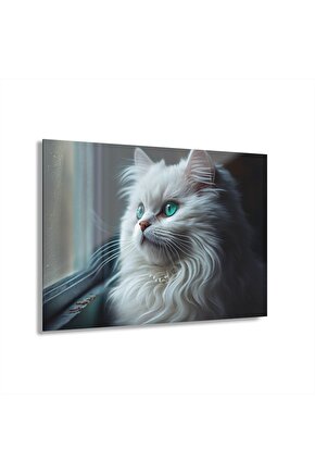 Kedi Cam Tablo Duvar Dekoru