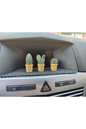 Otomobil Torpido Süsü Kaktüs Sukulent Cactus Succulent Süsü 3lü Ürün