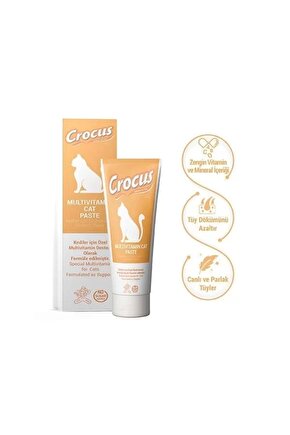 Multivitamin Kedi Malt Macunu 100 Gr