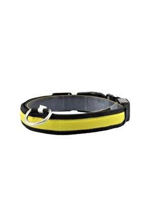 Işıklı Ayarlanabilir Flaşörlü Kedi ve Köpek Boyun Tasması Sarı 40-48 Cm  2.5 Cm
