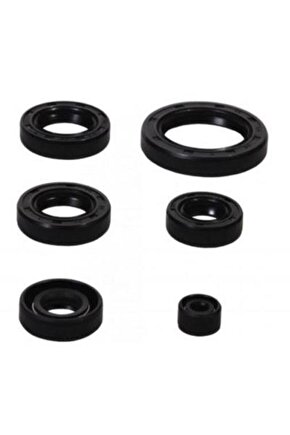 Agk Cg 125-150-200 Keçe Takımı 6 Lı
