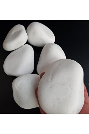 Beyaz Dolomit Taş 25 Kg 6-10 Cm Dere Taşı Çakıl Taşı Saksı Taşı Akvaryum Teraryum Taşı