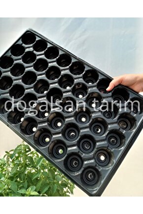 Fide Viyolü 45 Göz 15 Adet Fide Viyol Fide Viyolleri Fide Yetiştirme Kabı Tohum Ekim Kabı Fidelik